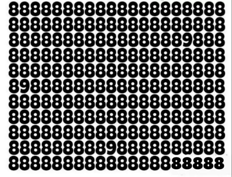 معمای توهم بینایی؛ چند عدد ۹ را می‌توانید در این تصویر ببینید؟