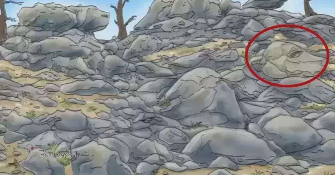 معمایی برای باهوش ها؛ آیا می‌توانید سگ پنهان شده در کوه را پیدا کنید؟