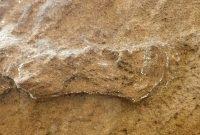 قدیمی‌ترین رد پای انسان در جهان در آفریقای جنوبی کشف شد