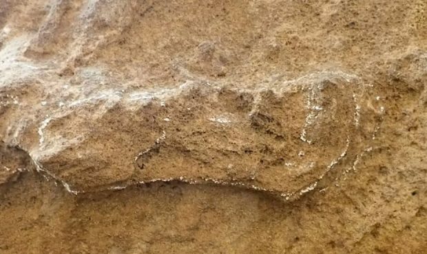 قدیمی‌ترین رد پای انسان در جهان در آفریقای جنوبی کشف شد