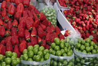 گران‌ترین و ارزان‌ترین میوه بازار کدام‌ها هستند؟