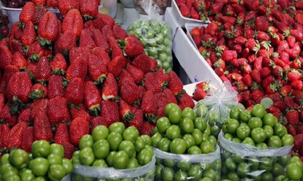 گران‌ترین و ارزان‌ترین میوه بازار کدام‌ها هستند؟