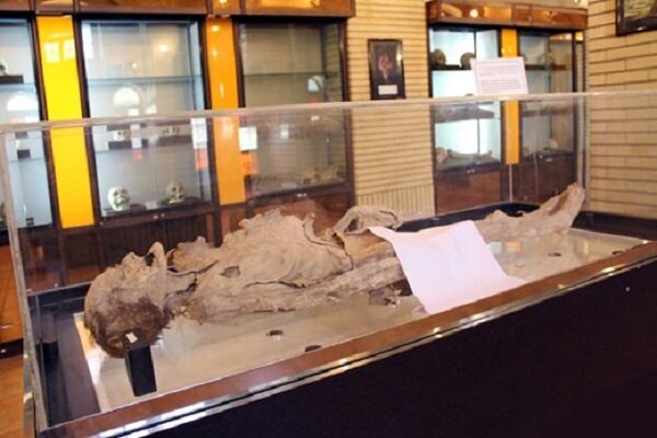 ماجرای مومیایی زن عجیب یزدی؛ جسد خوابیده در موزه کیست؟