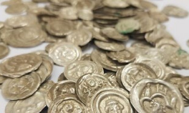 عکس/ گنجینه‌ای از سکه‌های عجیب که یک سگ پیدا کرد