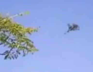 اولین تصاویر از «فرود» سه فروند جنگنده «سوخو ٣۵» در «مهرآباد»