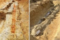 تصاویر/ کشف حیرت آور شمشیر ۲ متری در گور باستانی ژاپنی