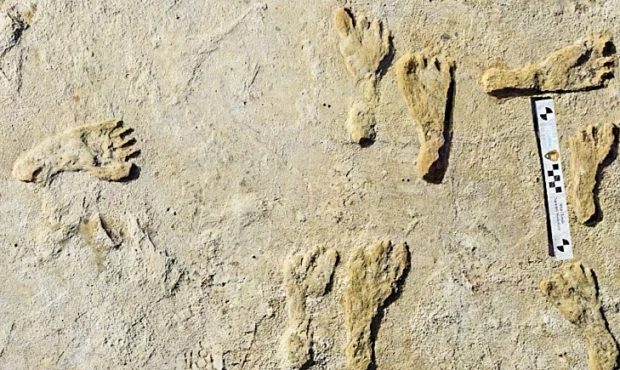 کشف قدیمی‌ترین ردپای انسان در آمریکا متعلق به ۲۳ هزار سال پیش