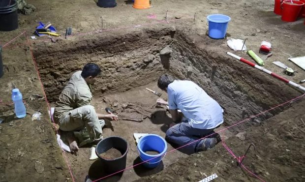 عکس/ کشف شواهدی از یک عمل جراحی عجیب مربوط به ۳۱ هزار سال قبل