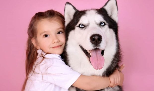 تصاویر/ ۸ نژاد سگ که برای خانواده های دارای فرزند خردسال مناسب نیستند