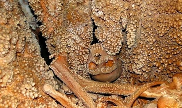 عکس/ فسیل ترسناک مردی که ۱۸۰ هزار سال قبل در چاه افتاد!