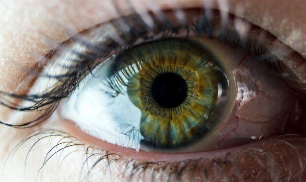 عکس/ کمیاب‌ترین «رنگ چشم» جهان چه رنگی است؟