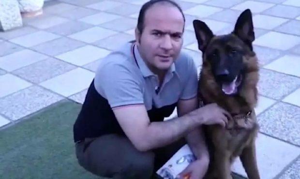 ویدئو/ هوش عجیب کسبه؛ این سگ در ایران کاملا ریاضی را متوجه می شود!