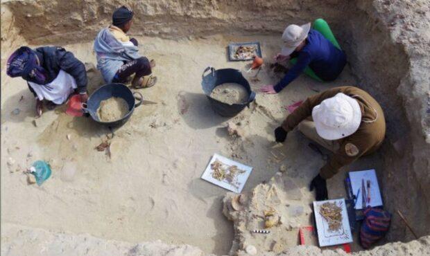 عکس/ کشف قدیمی‌ترین گورستان حیوانات خانگی در مصر
