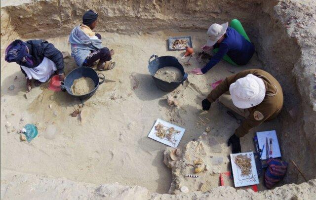 عکس/ کشف قدیمی‌ترین گورستان حیوانات خانگی در مصر